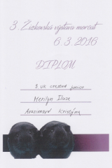 Merilyn_-_diplom_3.UK_crested_junior_-_3._zizkovska