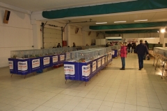 expozice_morcata