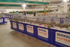 expozice_morcata_detail