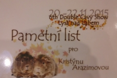 pametni_list