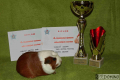 vivien_01