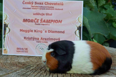 Meggie_sampion_diplom