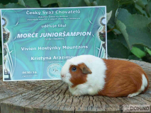 Vivien_sampion_diplom