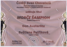 Don Austerlitz šampion