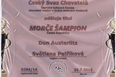 Don Austerlitz šampion