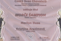 Merilyn Iluze