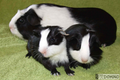 Vsichni_05_201701