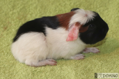 U2_prava01