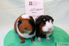 Duo_Jessie_Ulča
