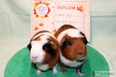 Duo_Ulca_Deli